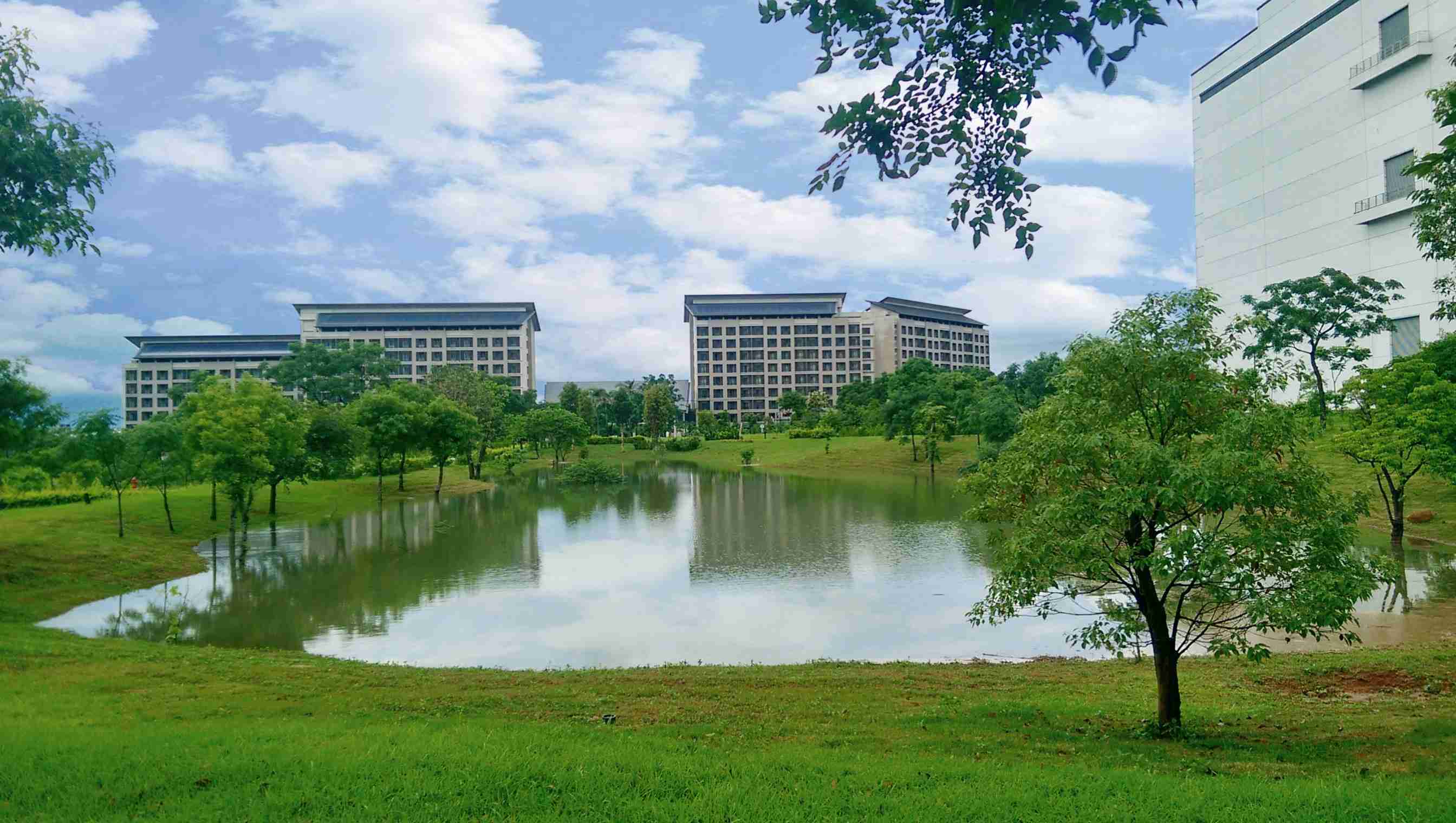 彩神vll响应国际倡议生物多样性趋势，，，首次发布TNFD自然相关财务揭露报告书，，，擘划及开展彩神vll生物多样性政策之承诺，，逐步迈向与自然和谐共生